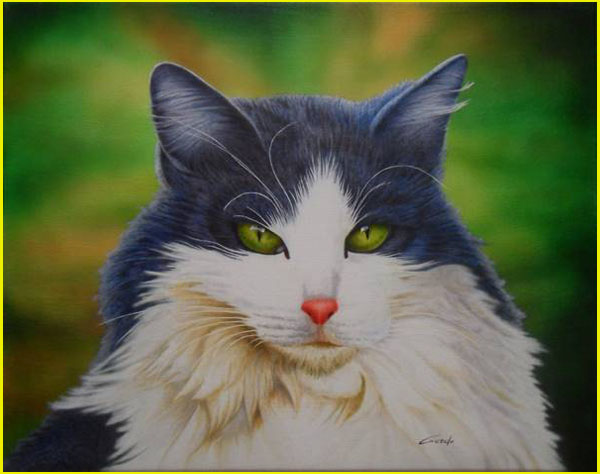 peinture d'ue tête de chat
