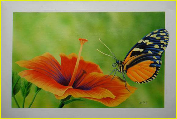 papillon qui butine une fleur