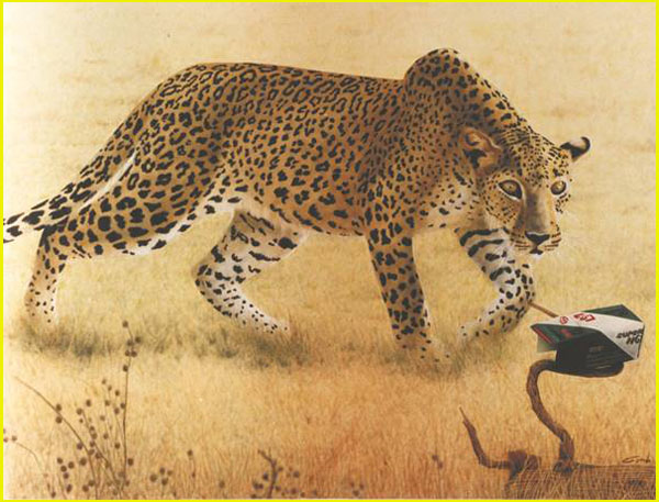 un léopard qui marche dans la savane