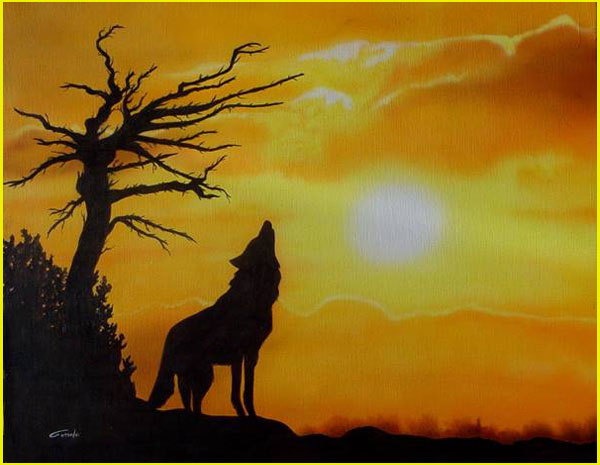 silhouette d'un loup au coucher de soleil