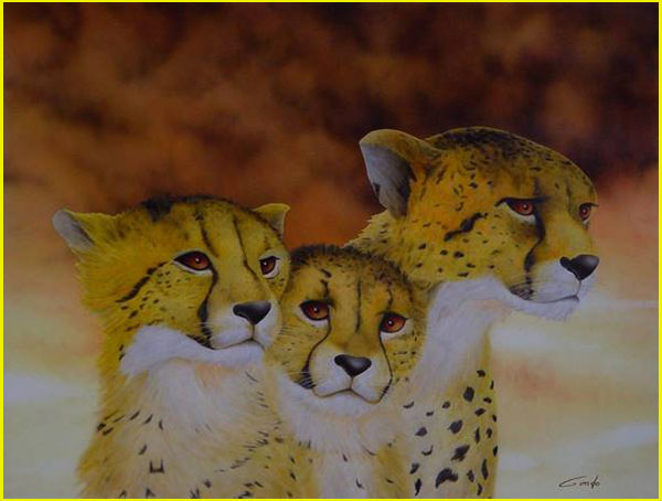 trois guépards dans la savane