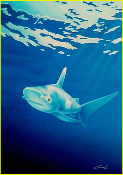 peinture d'un requin blanc