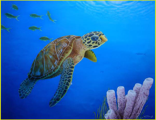 tortue marine au fond de la mer